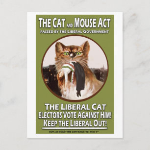 British Suffragette Cat and Mouse Act Briefkaart