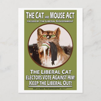 British Suffragette Cat and Mouse Act Briefkaart