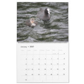 British Waterfowl 2014 Calendar Kalender (Jan 2027)