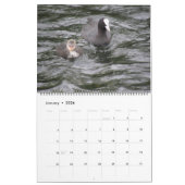 British Waterfowl 2014 Calendar Kalender (Jan 2026)