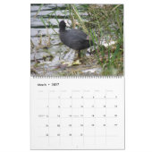 British Waterfowl Custom Calendar Kalender (Mar 2027)