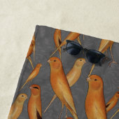 British Yorkshire Canary Heritage Illustration Strandlaken (In situ)