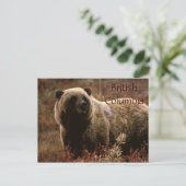Brits Columbia grizzly beer briefkaart (Staand voorkant)