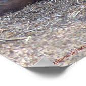 Brits gevlekte pony poster (Hoek)