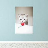Brits horthair kitten die speelgoed muizen ruikt canvas afdruk (Insitu (Houten vloer))