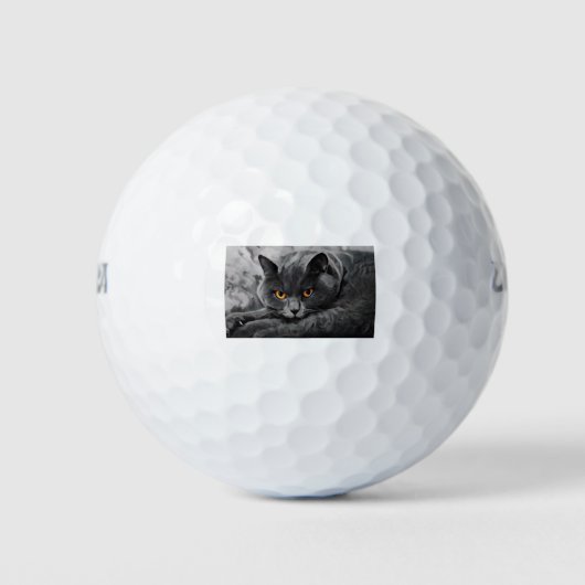 Brits Kat Shorthair Golfballen (Voorkant)