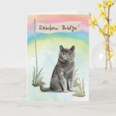 Brits kort haar kat huisdier sympathie over regenb kaart (Gele Bloem)