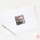 Brits Korthaar Kerstmis Vierkante Sticker (Envelop)