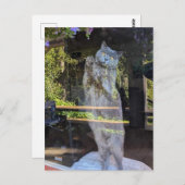 Brits Korthaar Kitty Kat In Venster Briefkaart (Voorkant / Achterkant)