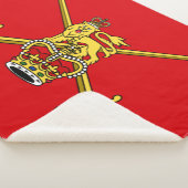 Brits leger (Britse militaire dienst) Sherpa Deken (3/4)