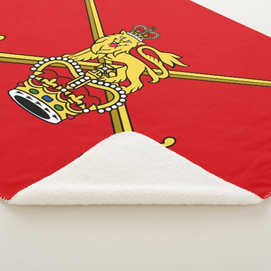 Brits leger (Britse militaire dienst) Sherpa Deken (3/4)