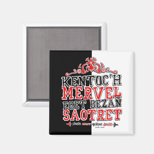 Brits pond magneet (Voorkant / Achterkant)