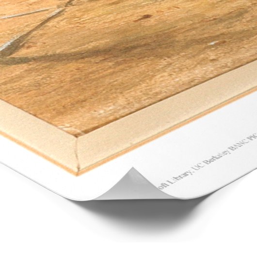 Brits schip "Viscata" gebleekt (0533A) Poster (Hoek)