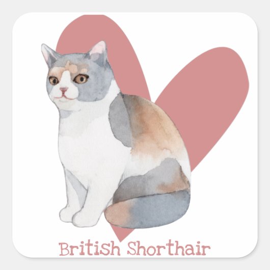 Brits Waterverf met horthair kat Kat roze hart Vierkante Sticker (Voorkant)