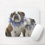 Britse bulldog en puppy met een jesterkraag, muismat (Met muis)