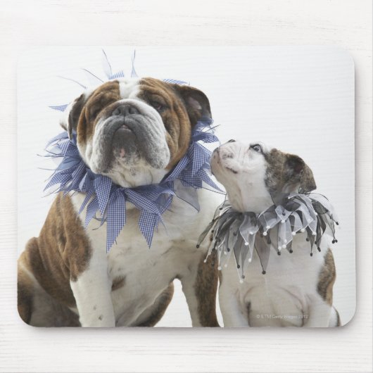 Britse bulldog en puppy met een jesterkraag, muismat (Voorkant)