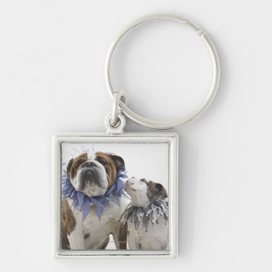 Britse bulldog en puppy met een jesterkraag, sleutelhanger (Voorkant)