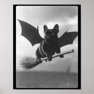 Britse Bulldog Heks Bezem Vleermuisvleugels Grieze Poster