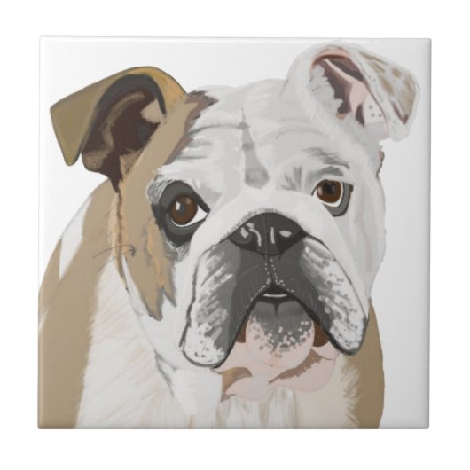 Britse Bulldog met Union Jack Tegeltje (Voorkant)