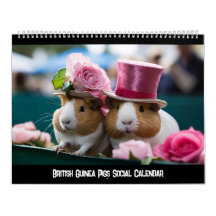 Britse cavia's sociale kalender