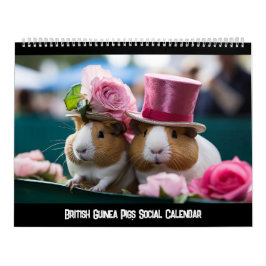 Britse cavia's sociale kalender