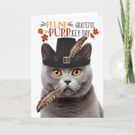 Britse Grijze Kat Feline Dankbaar voor PURRkey Day Feestdagen Kaart