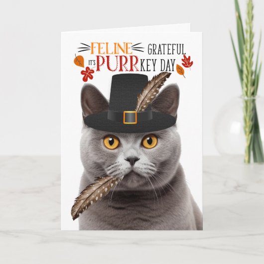 Britse Grijze Kat Feline Dankbaar voor PURRkey Day Feestdagen Kaart (Voorkant)
