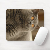 britse korthaar blauw muismat (Met muis)