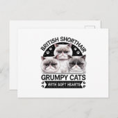 Britse Korthaar Grumpy Cats Briefkaart (Voorkant / Achterkant)