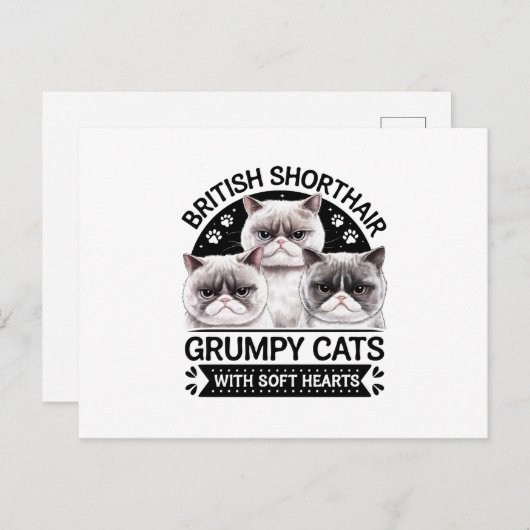 Britse Korthaar Grumpy Cats Briefkaart (Voorkant / Achterkant)