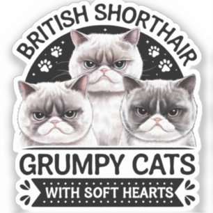 Britse Korthaar Grumpy Cats Sticker