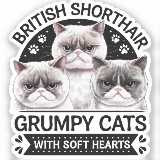 Britse Korthaar Grumpy Cats Sticker (Voorkant)