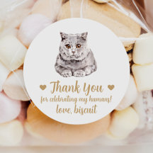 Britse Korthaar Kat Huwelijksgunst Stickers