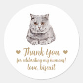 Britse Korthaar Kat Huwelijksgunst Stickers (Voorkant)