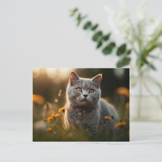 Britse Korthaar Kat in Bloemenweide Briefkaart (Staand voorkant)