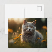 Britse Korthaar Kat in Bloemenweide Briefkaart (Voorkant / Achterkant)