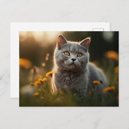Britse Korthaar Kat in Bloemenweide Briefkaart (Voorkant / Achterkant)
