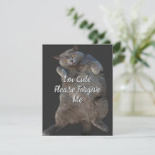 Britse Korthaar Kat Kat op Back Apology Kaart (Staand voorkant)