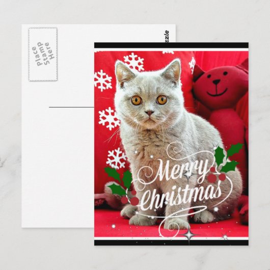 Britse Korthaar Kat, kerstgroeten Briefkaart (Voorkant / Achterkant)