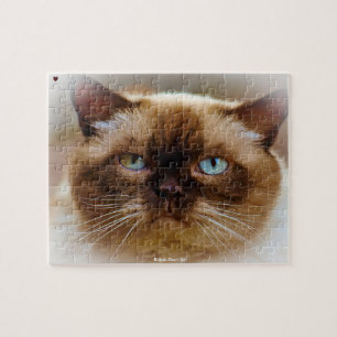 Britse Korthaar Kat Legpuzzel