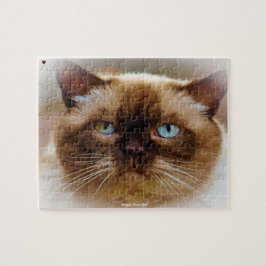 Britse Korthaar Kat Legpuzzel (Horizontaal)