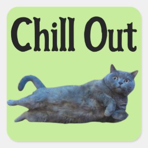 Britse Korthaar Kat Liggend op Side Chill Out Vierkante Sticker