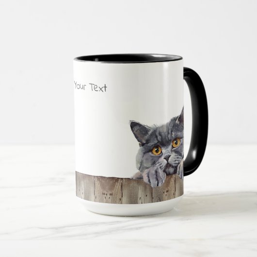 Britse Korthaar Kat Mok (Voorkant rechts)