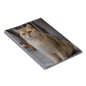 Britse Korthaar, kattenras, kat Notitieboek (Rechterzijde)