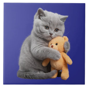 Britse Korthaar Kitten en Teddy Bear Decoratief Tegeltje