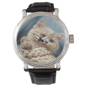 Britse korthaar, kitten, huisdier horloge
