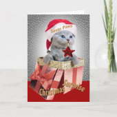 Britse Korthaar Kitten Kerstmis Surprise Kaarten (Voorkant)