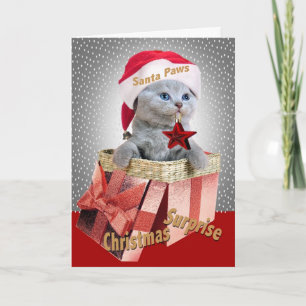 Britse Korthaar Kitten Kerstmis Surprise Kaarten