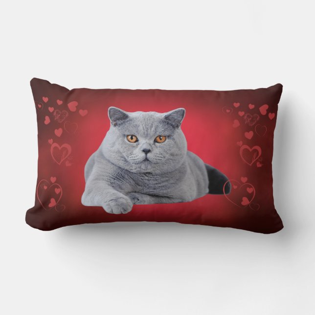 Britse korthaar liefde kat kussen (Voorkant)