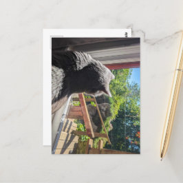 Britse korthaar reflectie in venster foto briefkaart